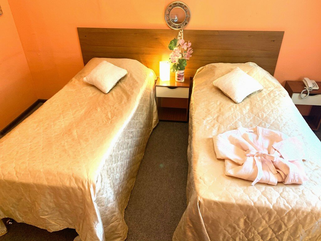 Гостиница Премьера Санкт-Петербург-33