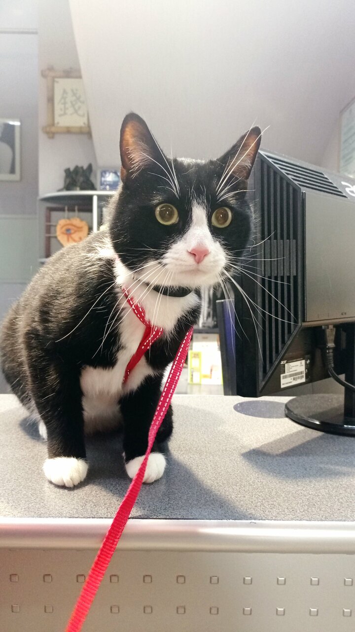 Гостиница Премьера Санкт-Петербург-56