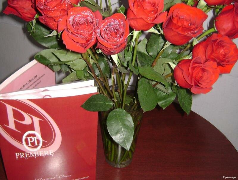 Гостиница Премьера Санкт-Петербург-217