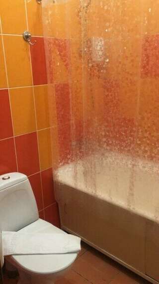 Гостиница Премьера Санкт-Петербург Двухместный номер с 1 кроватью и видом на парк-2