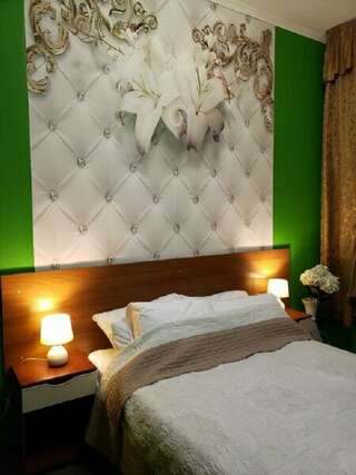 Гостиница Премьера Санкт-Петербург Двухместный номер с 1 кроватью и видом на парк-9