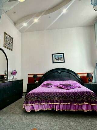 Гостиница Премьера Санкт-Петербург Двухместный номер с 1 кроватью и видом на парк-9