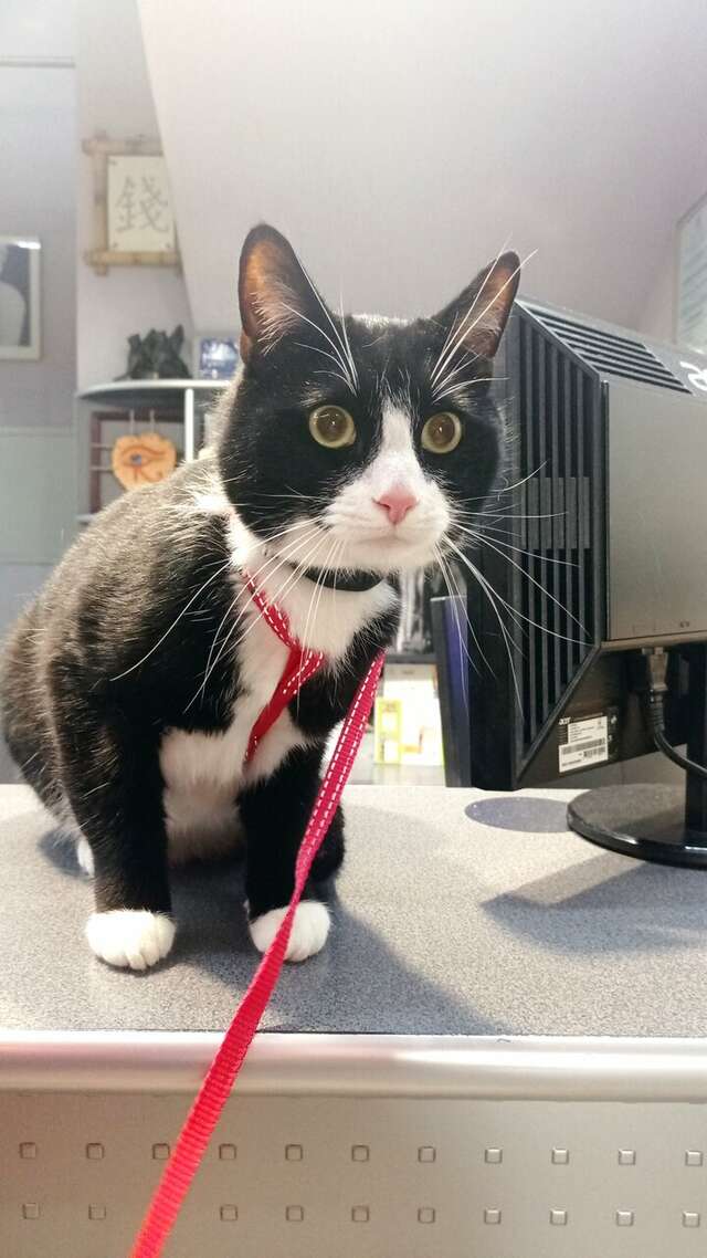 Гостиница Премьера Санкт-Петербург-55