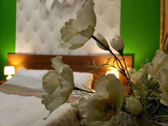 Гостиница Премьера Санкт-Петербург-106